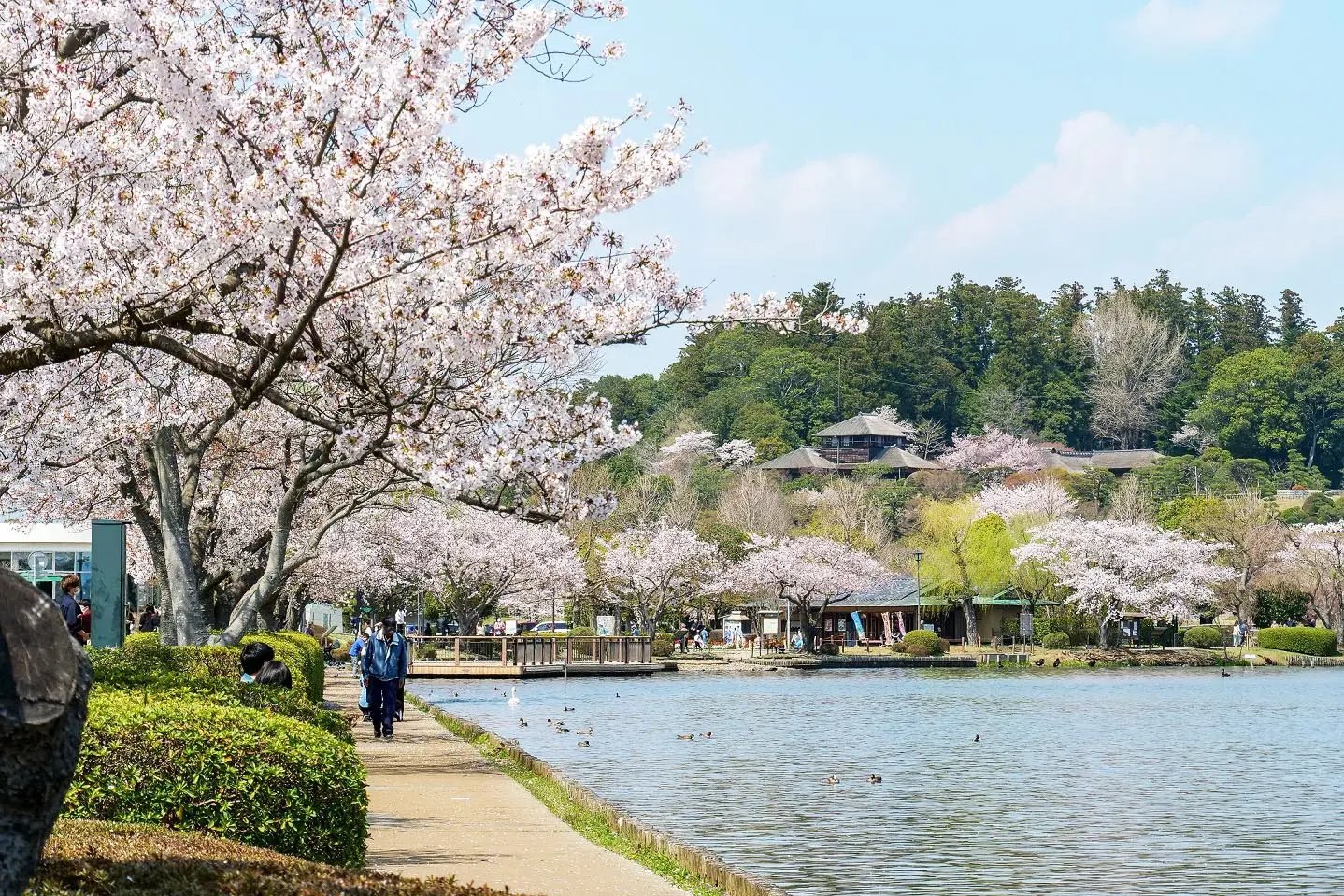 🏞️ 센바 공원